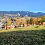 Vyhledovka *