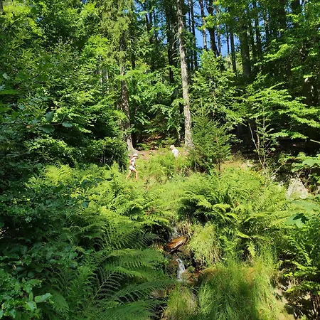 Vyhledovka Rokytnice nad Jizerou