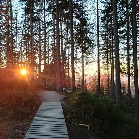 Vyhledovka * Rokytnice nad Jizerou