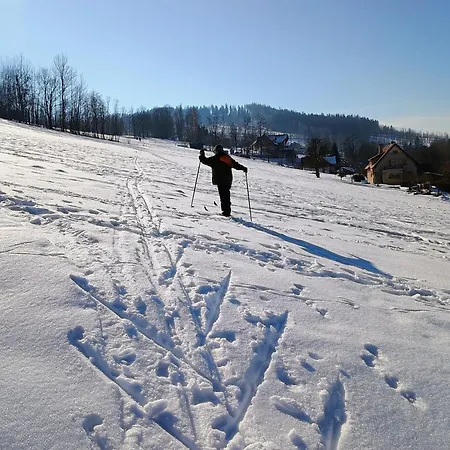 Vyhledovka * Rokytnice nad Jizerou
