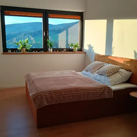 Vyhledovka Rokytnice nad Jizerou