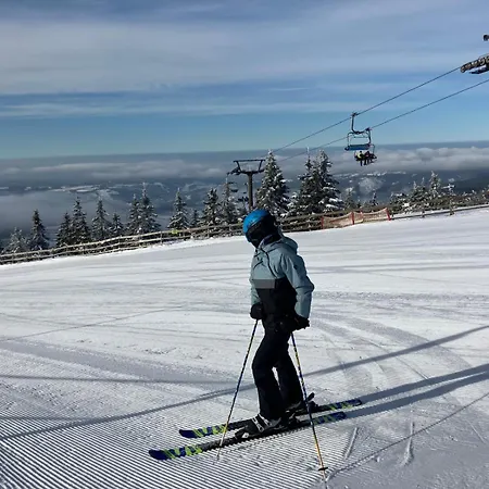 Vyhledovka * Rokytnice nad Jizerou