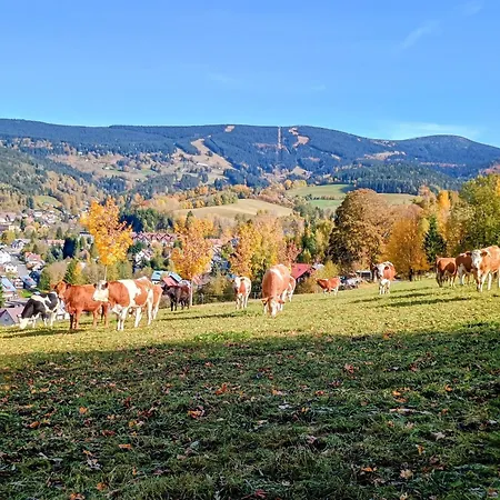 Vyhledovka *