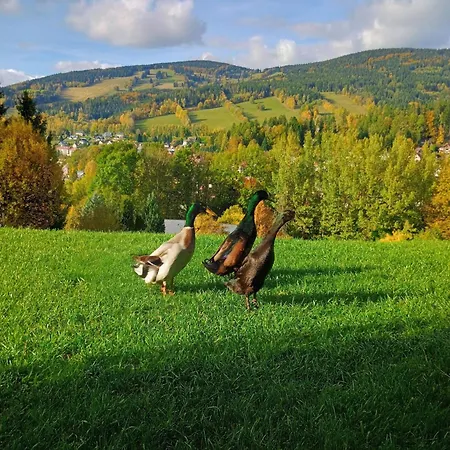 Vyhledovka Дом отдыха *