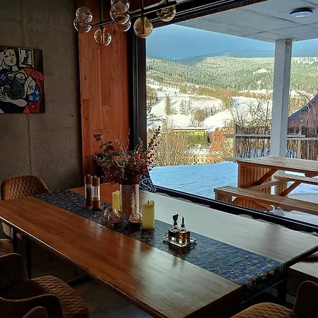 Vyhledovka * Rokytnice nad Jizerou