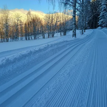 Vyhledovka * Rokytnice nad Jizerou
