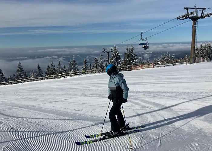 Vyhledovka * Rokytnice nad Jizerou