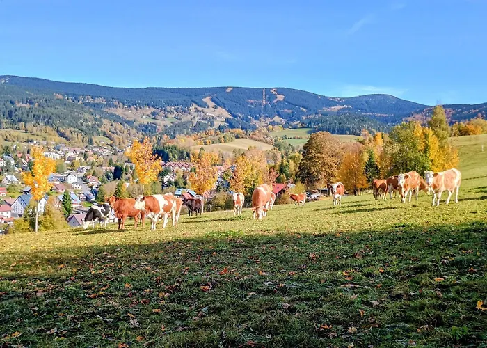 Vyhledovka *