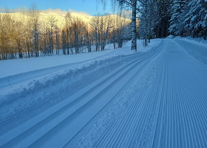 Vyhledovka * Rokytnice nad Jizerou