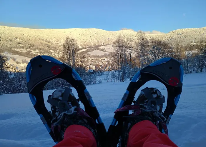 Hébergement de vacances Vyhledovka *